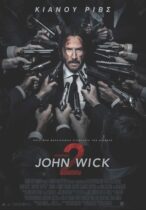 John Wick: Chapter 2 (2017)