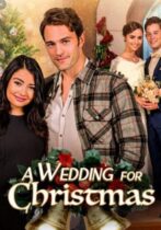 A Wedding for Christmas