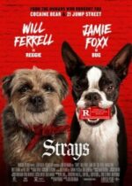 Strays (2023)