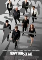 Now You See Me (2013)