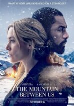 The Mountain Between Us (2017)