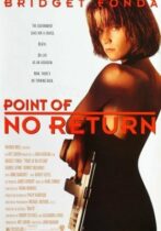 Point of No Return (1993)