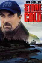 Jesse Stone: Stone Cold (2005)