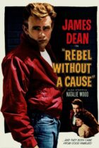 Rebel Without a Cause (1955)