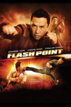 Flash Point (2007)