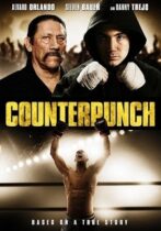 Counterpunch (2013)