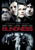 Blindness (2008)