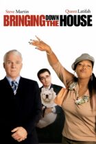 Bringing Down the House (2003)