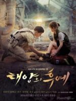 Descendants of the Sun (2016)