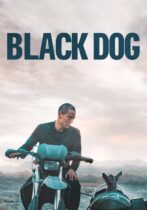 Black Dog (2024)