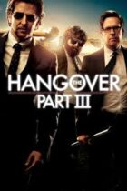 The Hangover Part III (2013)